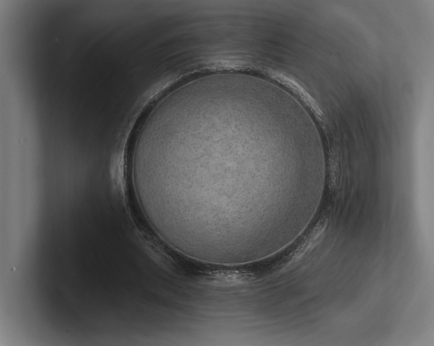 X0000102770439200808181132