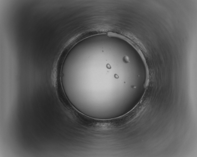 X0000102770440200808181132