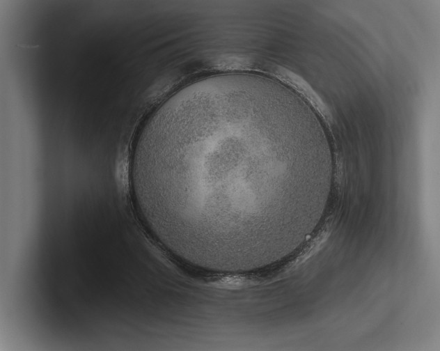 X0000102770441200808181132