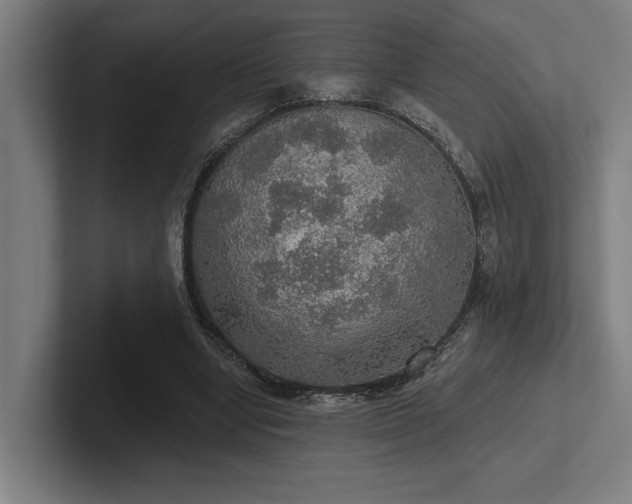 X0000102770442200808181132