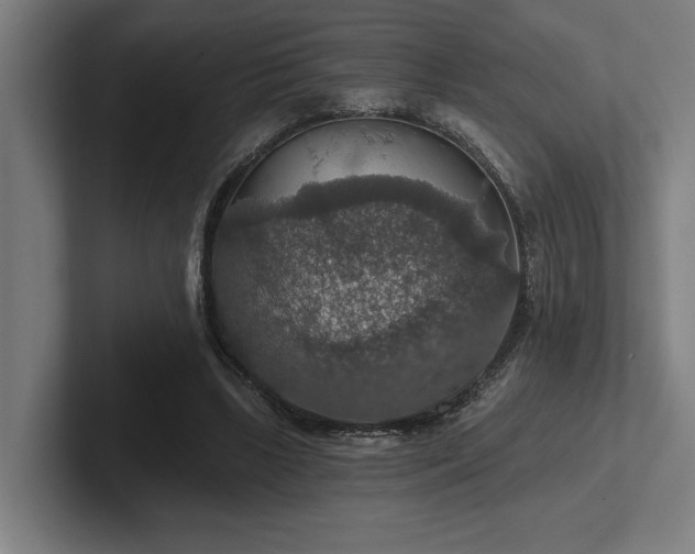 X0000102770443200808181132