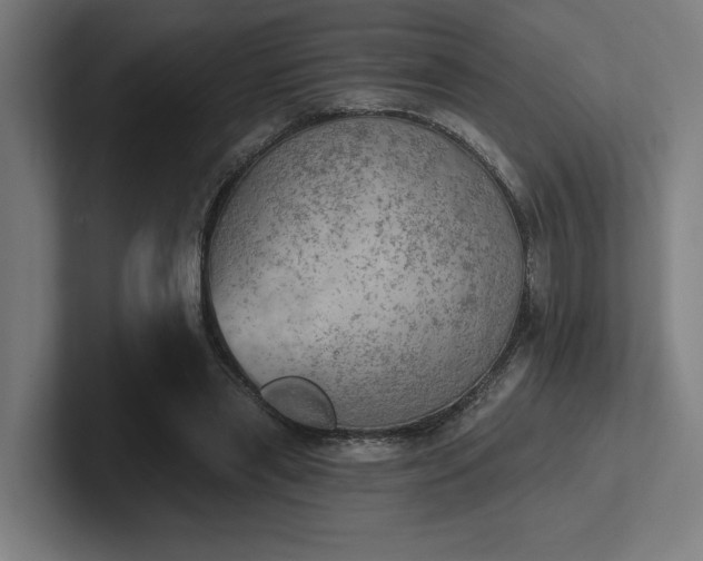 X0000102770445200808181132