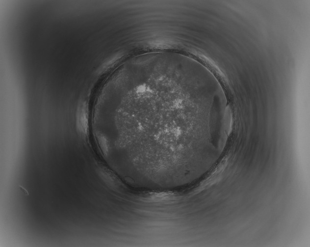 X0000102770446200808181132