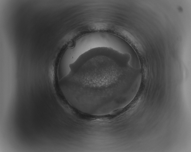 X0000102770447200808181132