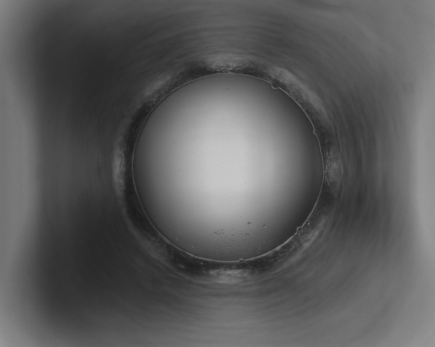 X0000102770448200808181133