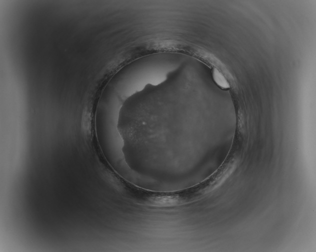 X0000102770449200808181133