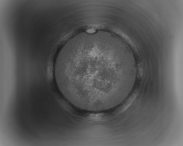 X0000102770450200808181133