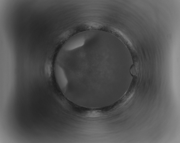 X0000102770451200808181133