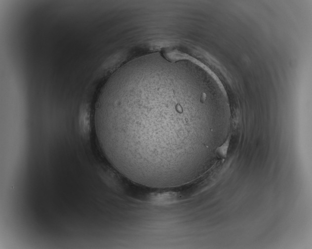 X0000102770452200808181133