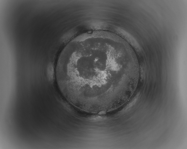 X0000102770453200808181133