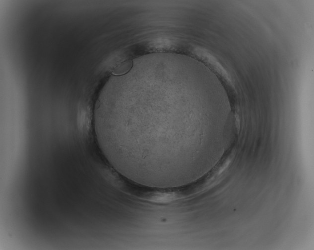 X0000102770458200808181133