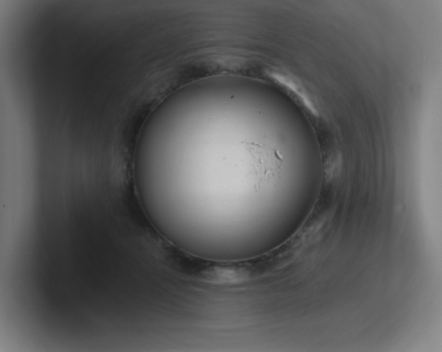 X0000102770464200808181133