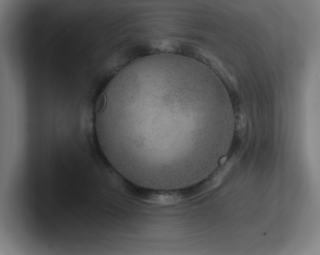 X0000102770466200808181133