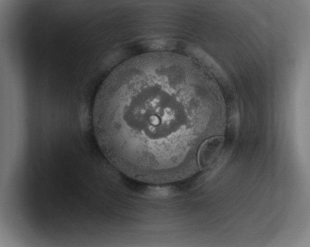 X0000102770469200808181133