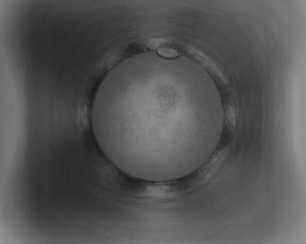 X0000102770470200808181133