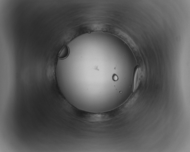 X0000102770473200808181133