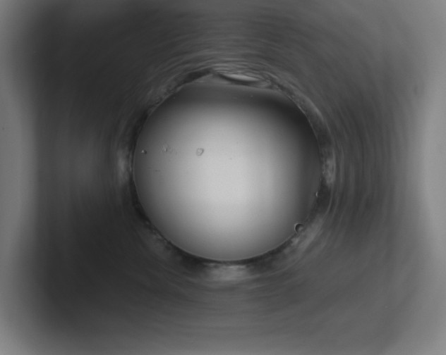 X0000102770476200808181133