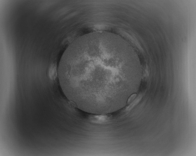 X0000102770478200808181133