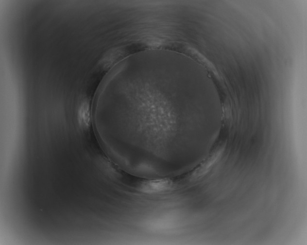 X0000102770479200808181133