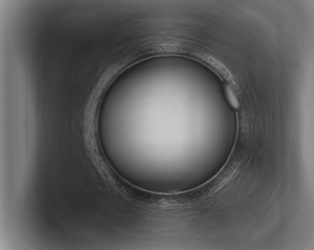 X0000102770481200808181132