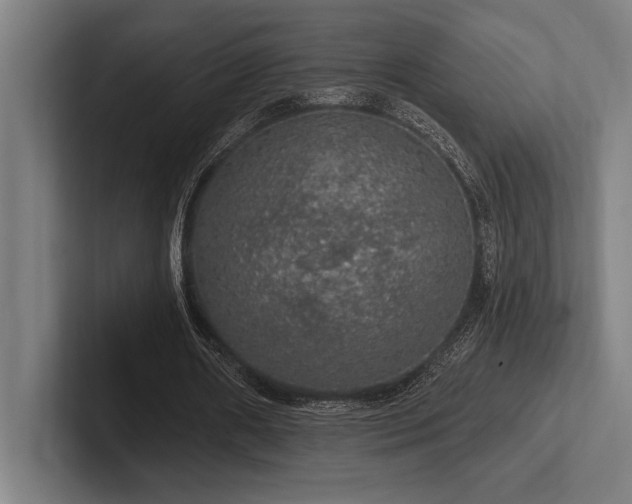 X0000102770482200808181132