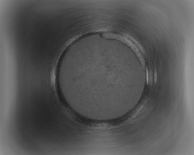 X0000102770483200808181132