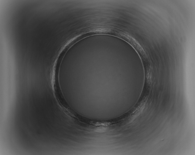 X0000102770484200808181132