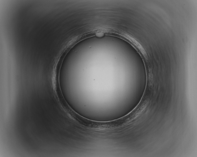 X0000102770485200808181132