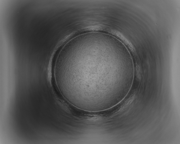 X0000102770486200808181132