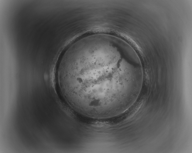 X0000102770487200808181132