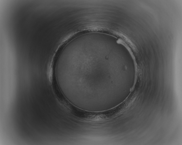 X0000102770488200808181132