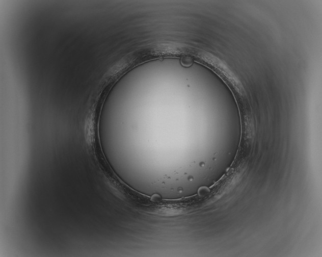 X0000102770489200808181132