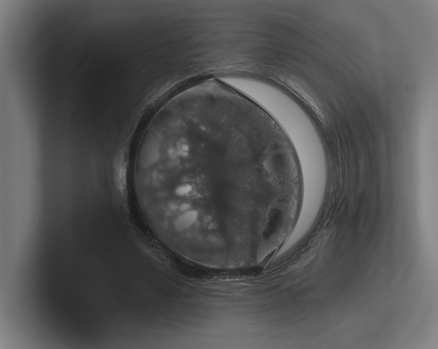 X0000102770491200808181132