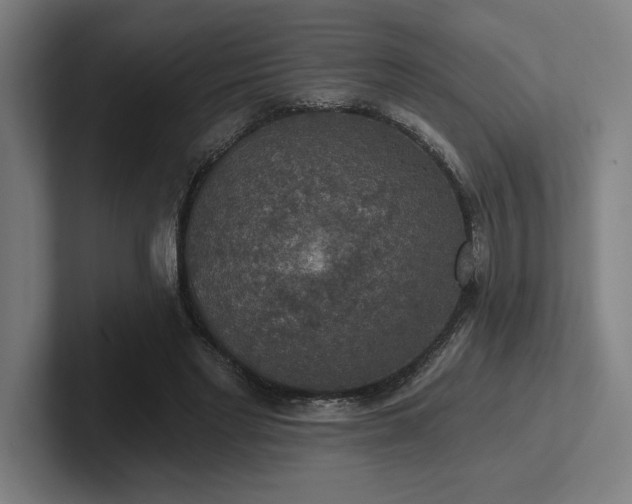 X0000102770493200808181132