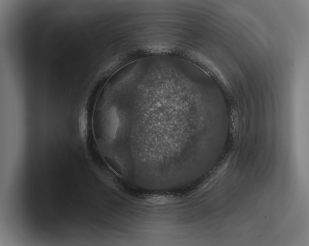 X0000102770494200808181132