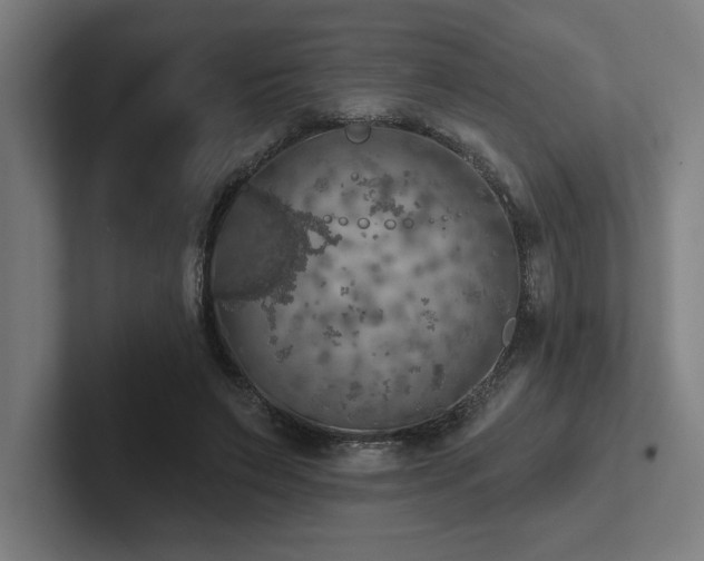 X0000102770495200808181132