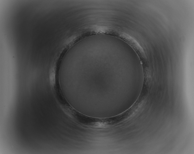 X0000102770496200808181132