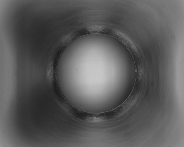 X0000102770498200808181132