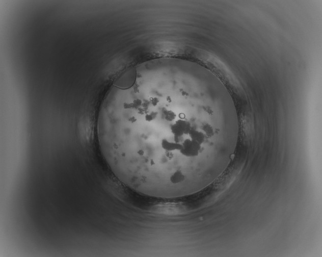 X0000102770499200808181132