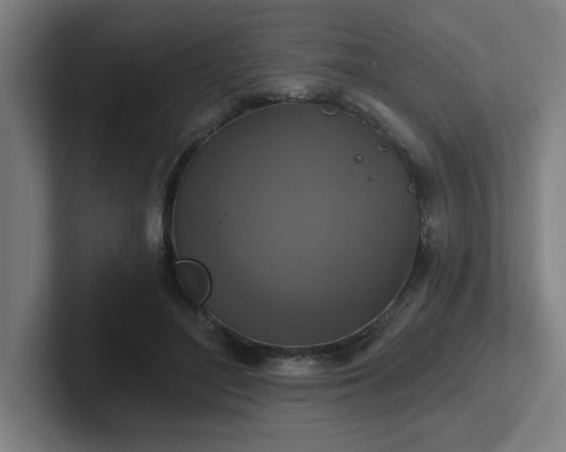 X0000102770500200808181132