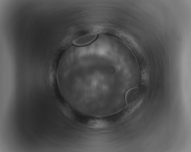 X0000102770503200808181132