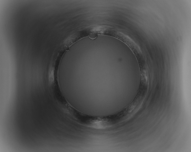 X0000102770504200808181132