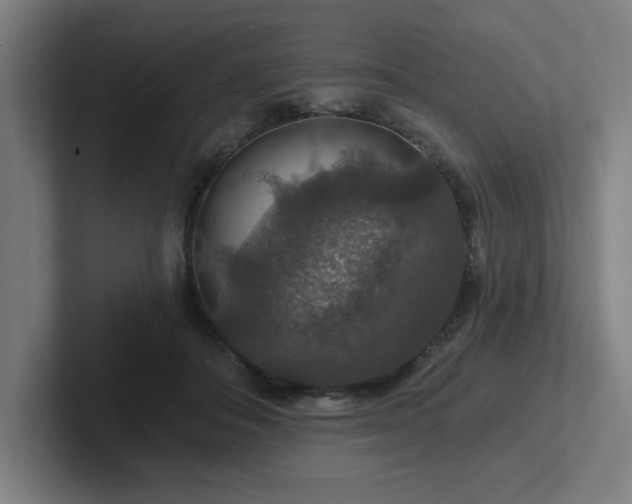 X0000102770506200808181132