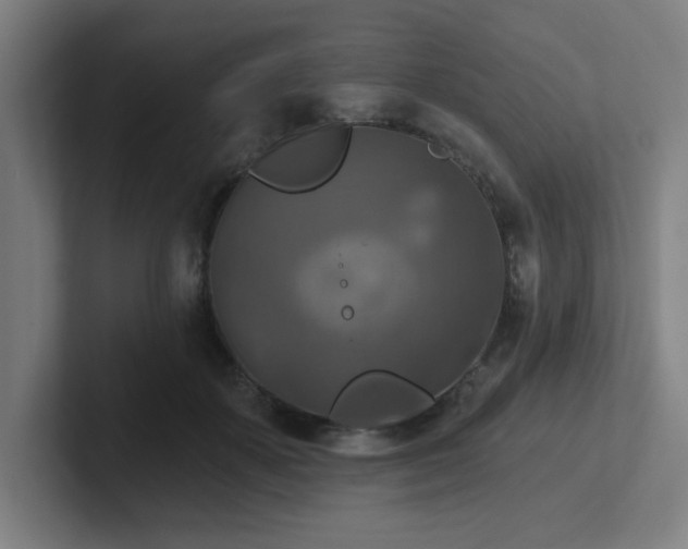 X0000102770507200808181132