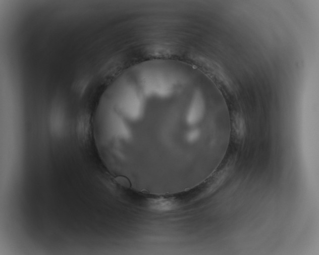 X0000102770511200808181132