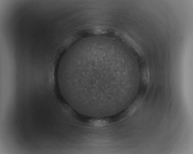 X0000102770512200808181132