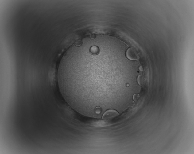 X0000102770513200808181132