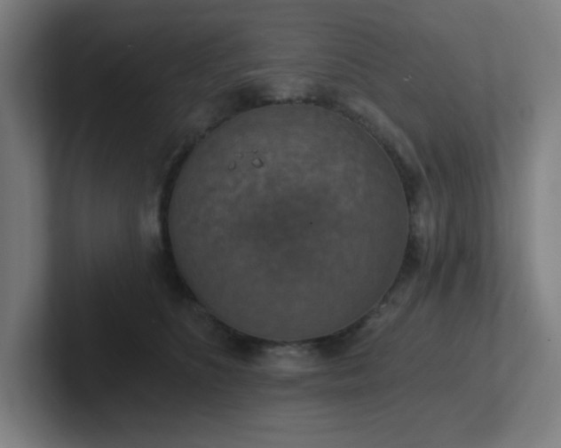 X0000102770516200808181132