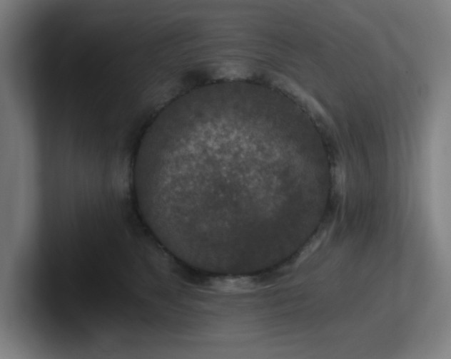 X0000102770517200808181132