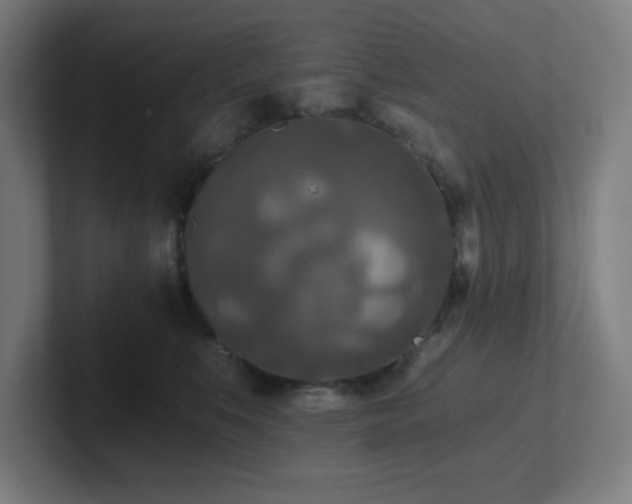 X0000102770519200808181132